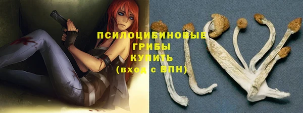 хмурый Богородицк