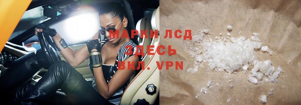 гидра Белокуриха