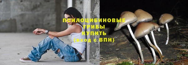 хмурый Богородицк