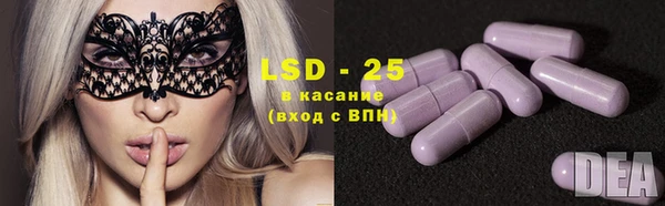 мескалин Богданович