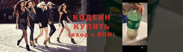 хмурый Богородицк