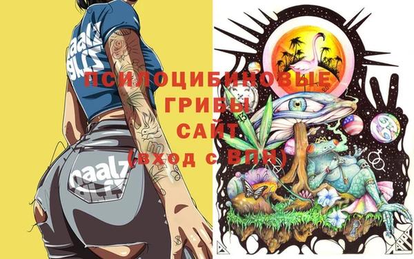хмурый Богородицк